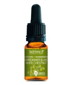 Marronnier Blanc - White Chestnut (n°35) BIO, 10 ml